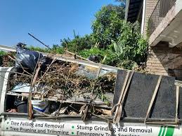 Best Construction Debris Removal  in Cadiz, KY